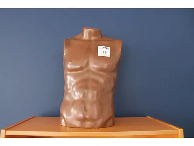 Mannentorso met hoogte 60 cm. - afbeelding 1 van  1
