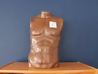 Mannentorso met hoogte 60 cm. - afbeelding 1 van  1