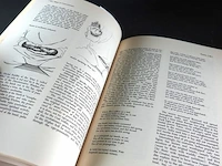 Maps of consciousness - afbeelding 5 van  5