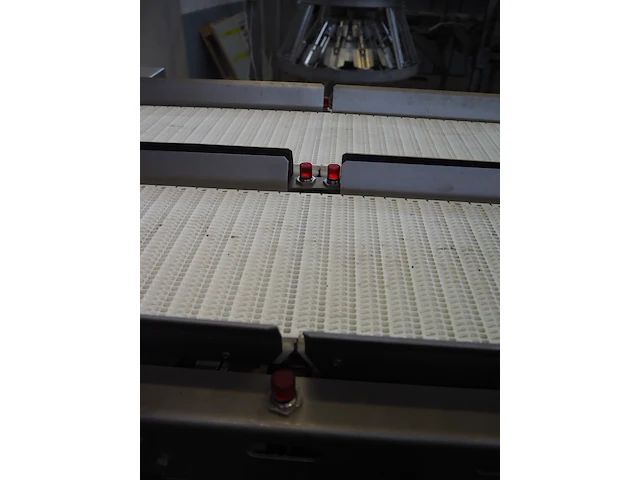 Marel stork poultry processing b.v. - afbeelding 2 van  44