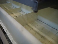 Marel stork poultry processing b.v. - afbeelding 19 van  44