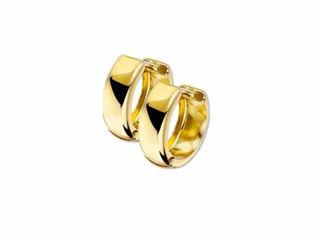 Marie celeste klapoorringen 10 mm goud - afbeelding 1 van  1