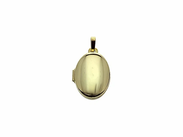 Marie celeste medaillon dames hanger goud - afbeelding 1 van  3