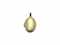 Marie celeste medaillon dames hanger goud - afbeelding 1 van  3