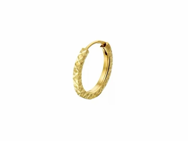 Marie celeste oorringen 1,2 mm gediamanteerd 12 mm goud - afbeelding 1 van  1