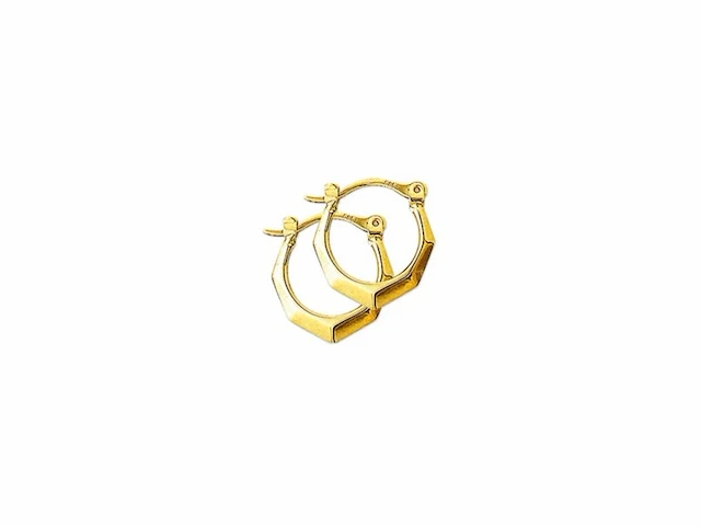 Marie celeste oorringen lapide 16 mm goud - afbeelding 1 van  1