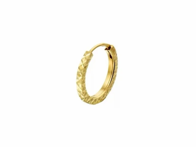 Marie celeste oorringen1,2 mm gediamanteerd 12 mm goud - afbeelding 1 van  1