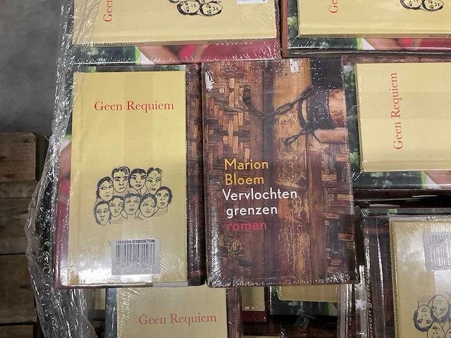 Marion bloem vervlochten grenzen roman boeken (185x) - afbeelding 2 van  2