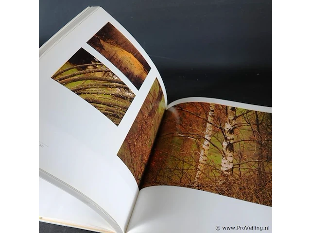 Martin kers. natuur in holland - afbeelding 3 van  5