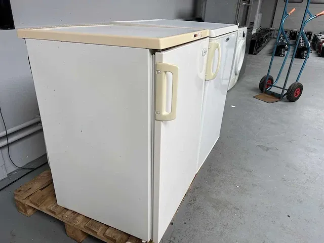 Marynen - koelkast tafelmodel + frigidaire vriezer tafelmodel - afbeelding 9 van  11