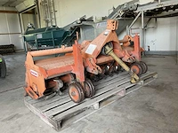 Maschio terranova b 230 messenfrees