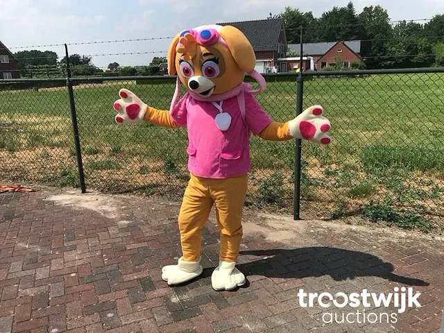 Mascotte pak - afbeelding 1 van  6