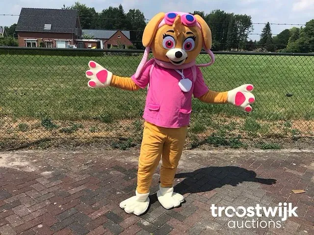 Mascotte pak - afbeelding 2 van  6