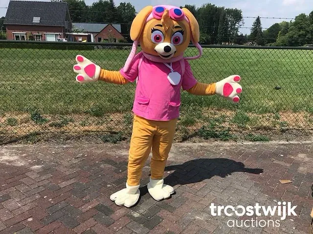 Mascotte pak - afbeelding 4 van  6