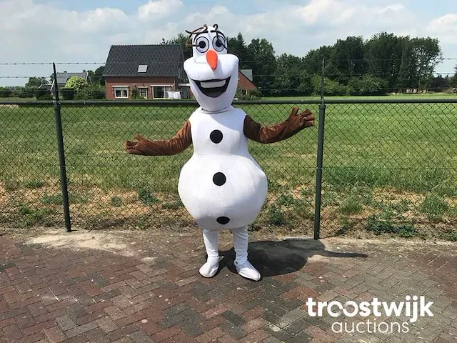 Mascotte pak - afbeelding 1 van  6