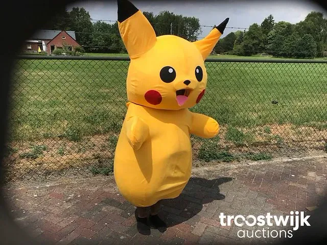 Mascotte pak - afbeelding 2 van  4