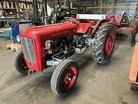 Massey ferguson 35 oldtimer tractor - afbeelding 1 van  15