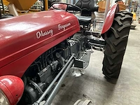 Massey ferguson oldtimer tractor - afbeelding 5 van  24