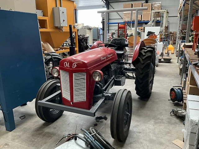 Massey ferguson oldtimer tractor - afbeelding 1 van  24