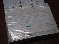 Maurer-atmos - afbeelding 20 van  30