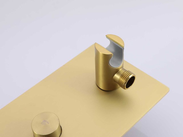 Mawialux inbouw regendouche - digitaal display - geborsteld goud - afbeelding 7 van  33