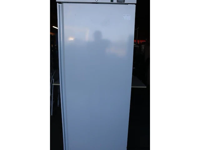 Maxima holland vrieskast - model maxima 600 w - afbeelding 4 van  11