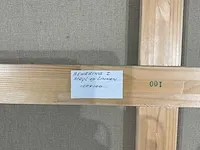 Meg langeslag beweging ii - afbeelding 6 van  7