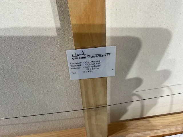 Meg langeslag verborgen stad - afbeelding 6 van  6