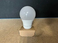 Megaman mm06298 led lamp (60x) - afbeelding 5 van  5
