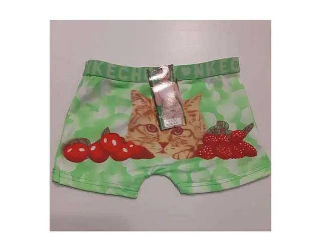 Meisjes boxers -poes katoen maat 2-3 jaar mix kleuren - afbeelding 4 van  5