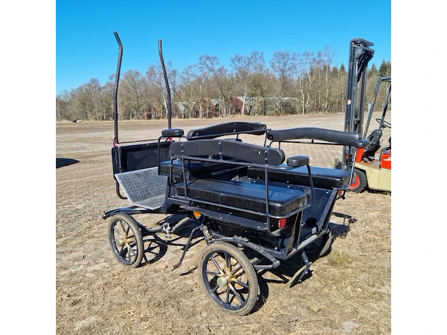 Menwagen - afbeelding 6 van  13