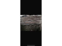 Mercedes-benz - 190-serie - 2.3/16 e - classic cars >15 - afbeelding 42 van  47