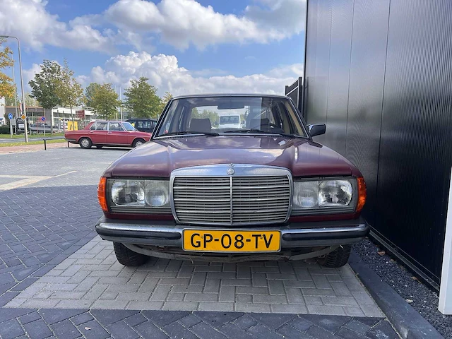 Mercedes-benz - 230e (w123) (1981) - afbeelding 8 van  16