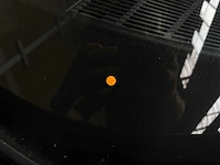 Mercedes-benz 280 sel - afbeelding 31 van  38