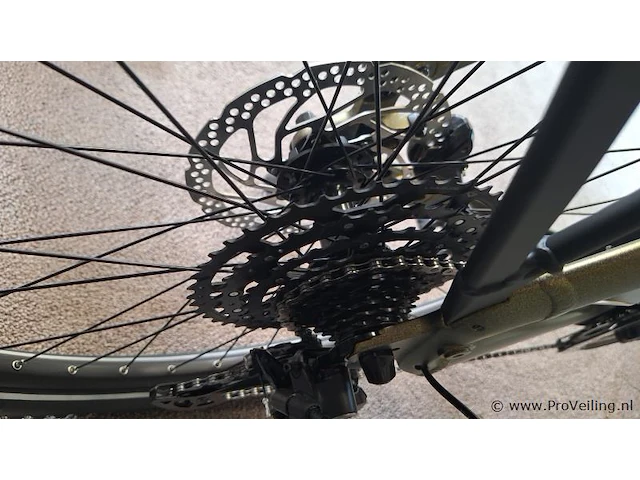 Merida elektrische damesfiets | model e-spresso cc 575 | kleur sparkling gold black | maat xl - afbeelding 13 van  13