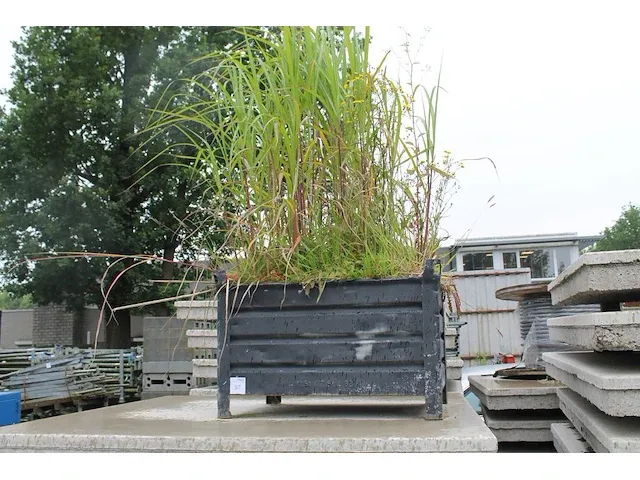 Metalen bakken gevuld met grond en planten, 5 stuks. afmeting 80x100cm - afbeelding 1 van  4