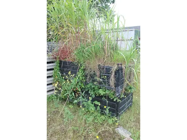 Metalen bakken gevuld met grond en planten, 5 stuks. afmeting 80x100cm - afbeelding 3 van  4