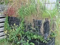 Metalen bakken gevuld met grond en planten, 5 stuks. afmeting 80x100cm - afbeelding 3 van  4
