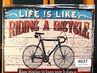 Metalen bord riding a bicycle - afbeelding 1 van  1
