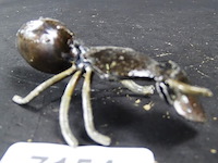 Metalen mier - afbeelding 1 van  3