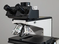 Microscoop, leitz, diaplan 512834 / 060949 - afbeelding 9 van  15