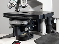 Microscoop, leitz, diaplan 512834 / 060949 - afbeelding 10 van  15
