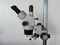 Microscoop, novex, 65.560 rzt-sf | locatie roden - afbeelding 11 van  17