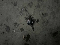 Mitsubishi colt 1.3 invite 95pk 2006 (origineel-nl), 03-sp-lh - afbeelding 24 van  31