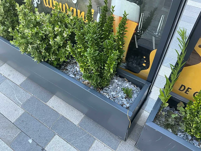 Mobiele plantenbak - afbeelding 3 van  4