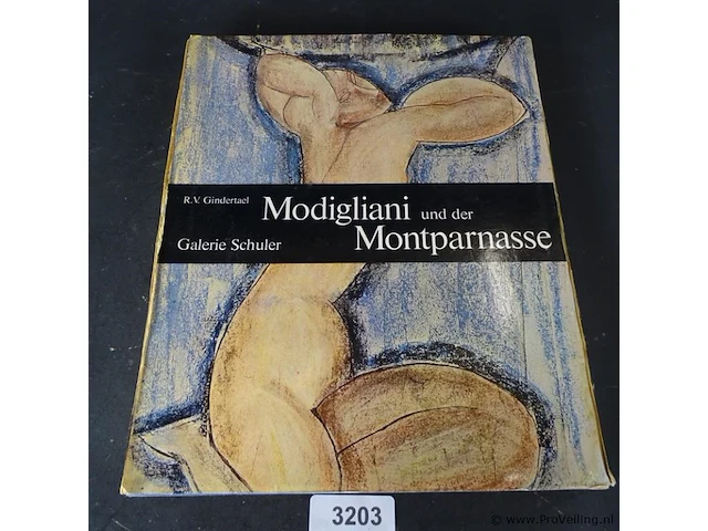 Modigliani montparnasse - afbeelding 1 van  5