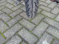 Momo - snorscooter - morino 50 riva - scooter - afbeelding 11 van  11