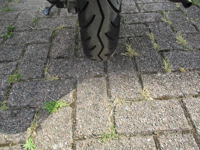 Momo - snorscooter - morino riva injectie - scooter - afbeelding 11 van  11