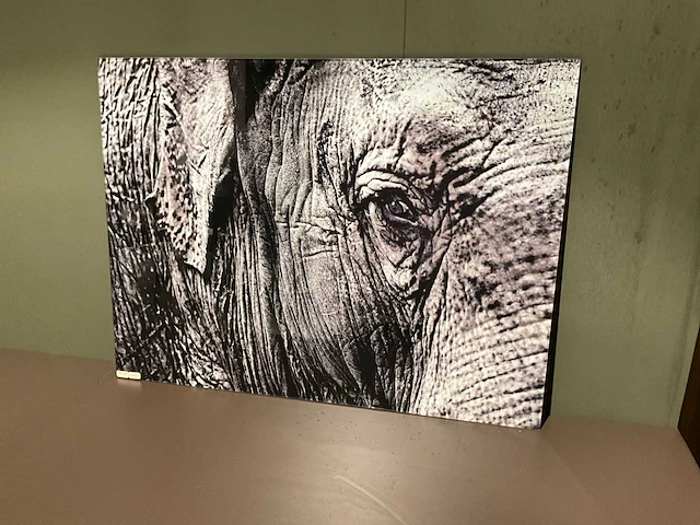 Mondiart glasplaat met olifant opdruk - afbeelding 1 van  1