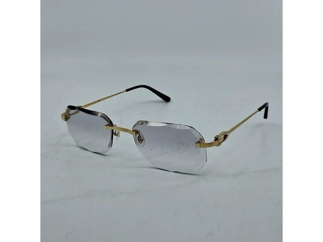 Montuur met glazen cartier, ct0290o - afbeelding 1 van  12